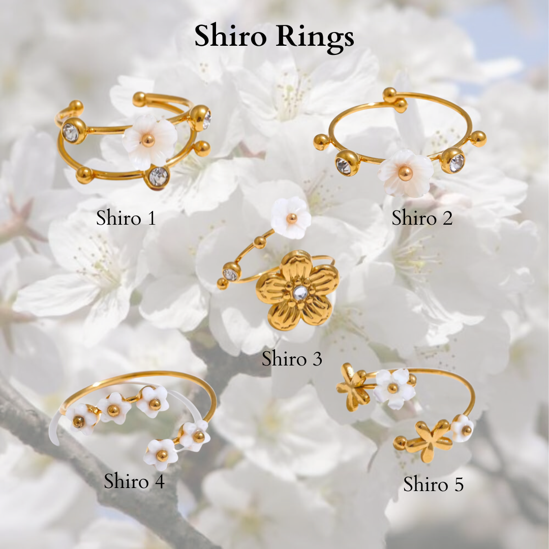 Shiro Rings- stainless steel