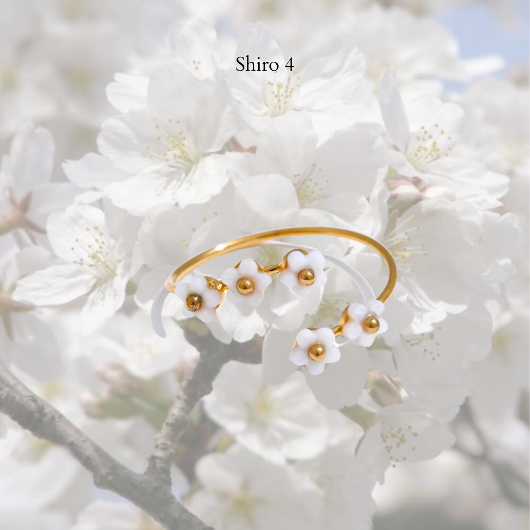 Shiro Rings