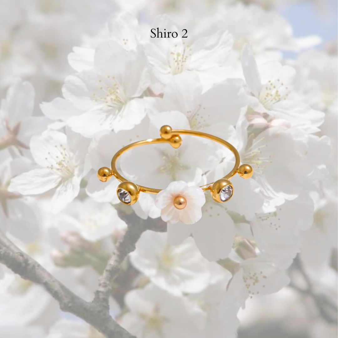 Shiro Rings